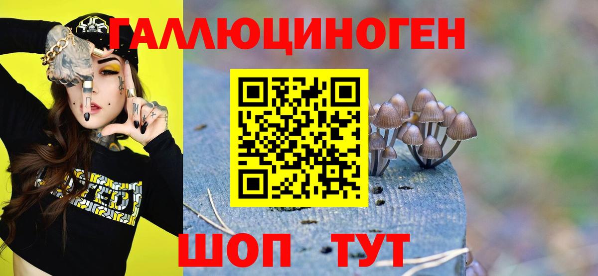 закладки  Галлюциногенные грибы Psilocybe  Клинцы  Вход с VPN  Псилоцибиновые грибы Cubensis 