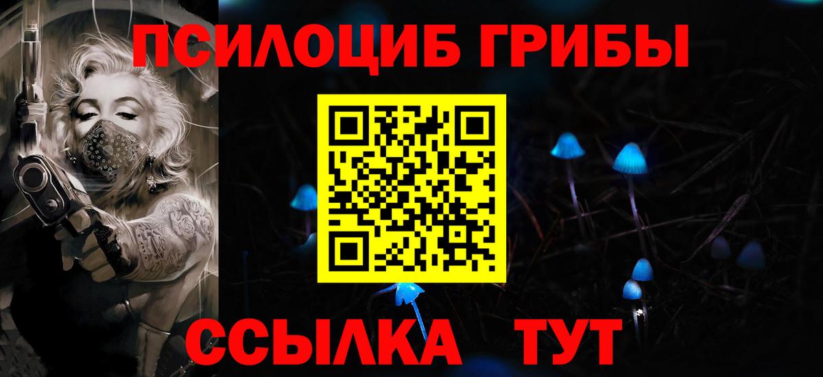 Галлюциногенные грибы Cubensis Клинцы