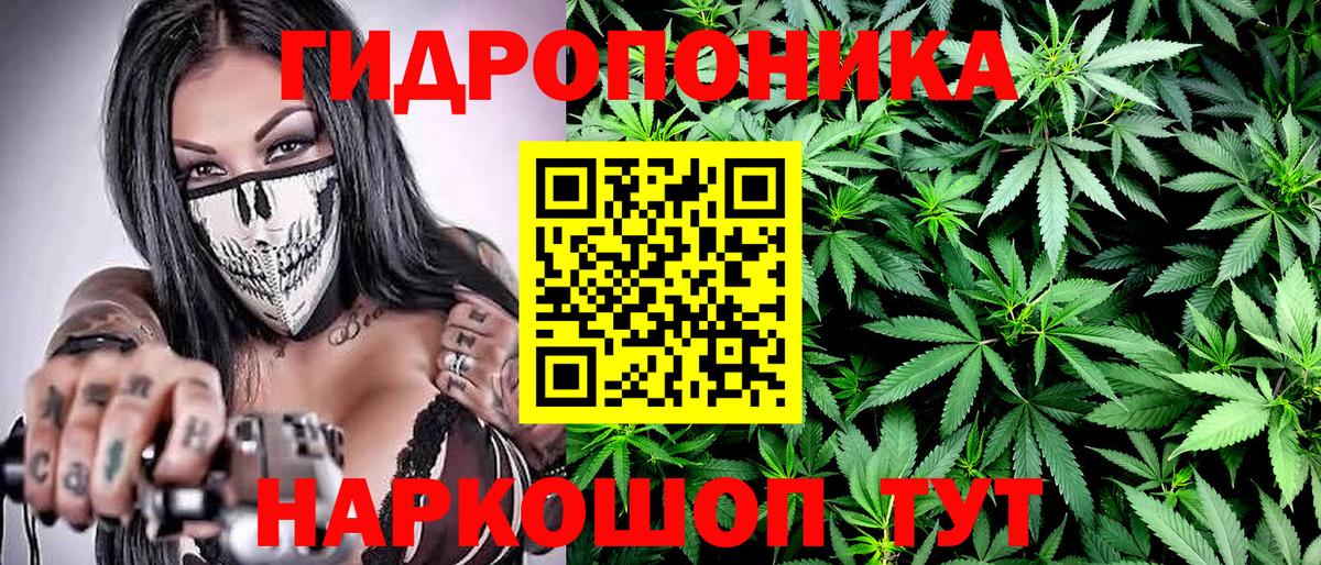 Канабис Ganja  Бошки Шишки Ganja  Бошки марихуана гибрид  Вход с VPN  Шишки марихуана AK-47  Клинцы 
